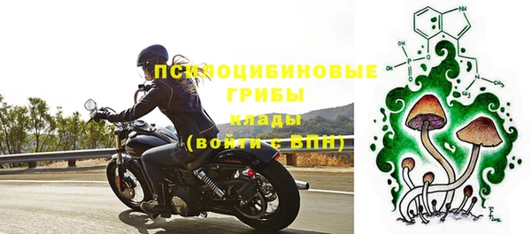 бутират Алексеевка
