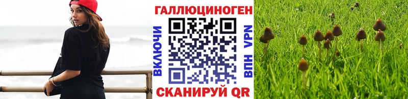 Псилоцибиновые грибы мухоморы цены наркотик Евпатория